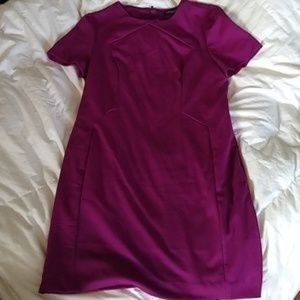 Banana Republic Work Dress - Purple/Magenta, Sz 12